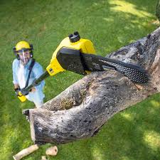 Best Pest Control for Lawns  in Mccoll, SC